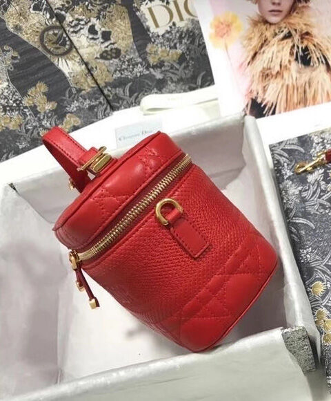 Christian Dior The Leather Vanity Bag Red